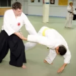 aikibudo1