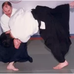 aikibudo117131084449e8787b75bd1796031095