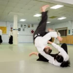 aikibudo2