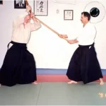 kenjutsu60172041549e735c5c4405496941701